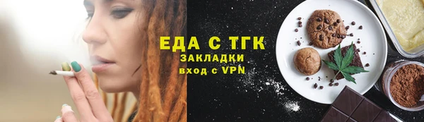индика Елабуга