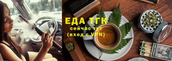 индика Елабуга